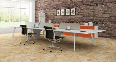 Endow desks product line